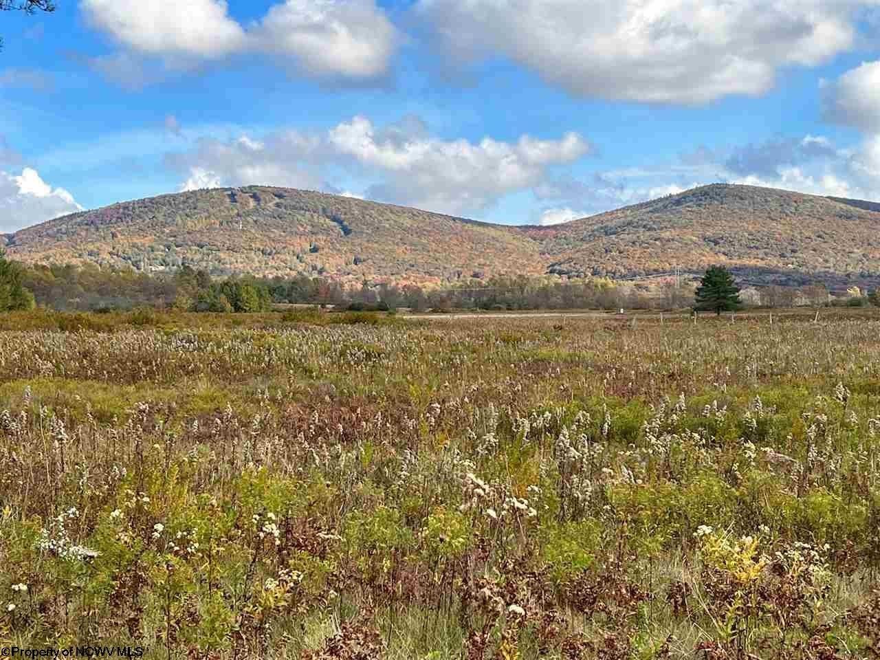 Davis, Tucker County, WV Undeveloped Land, Lakefront Property, Waterfront Property, Homesites