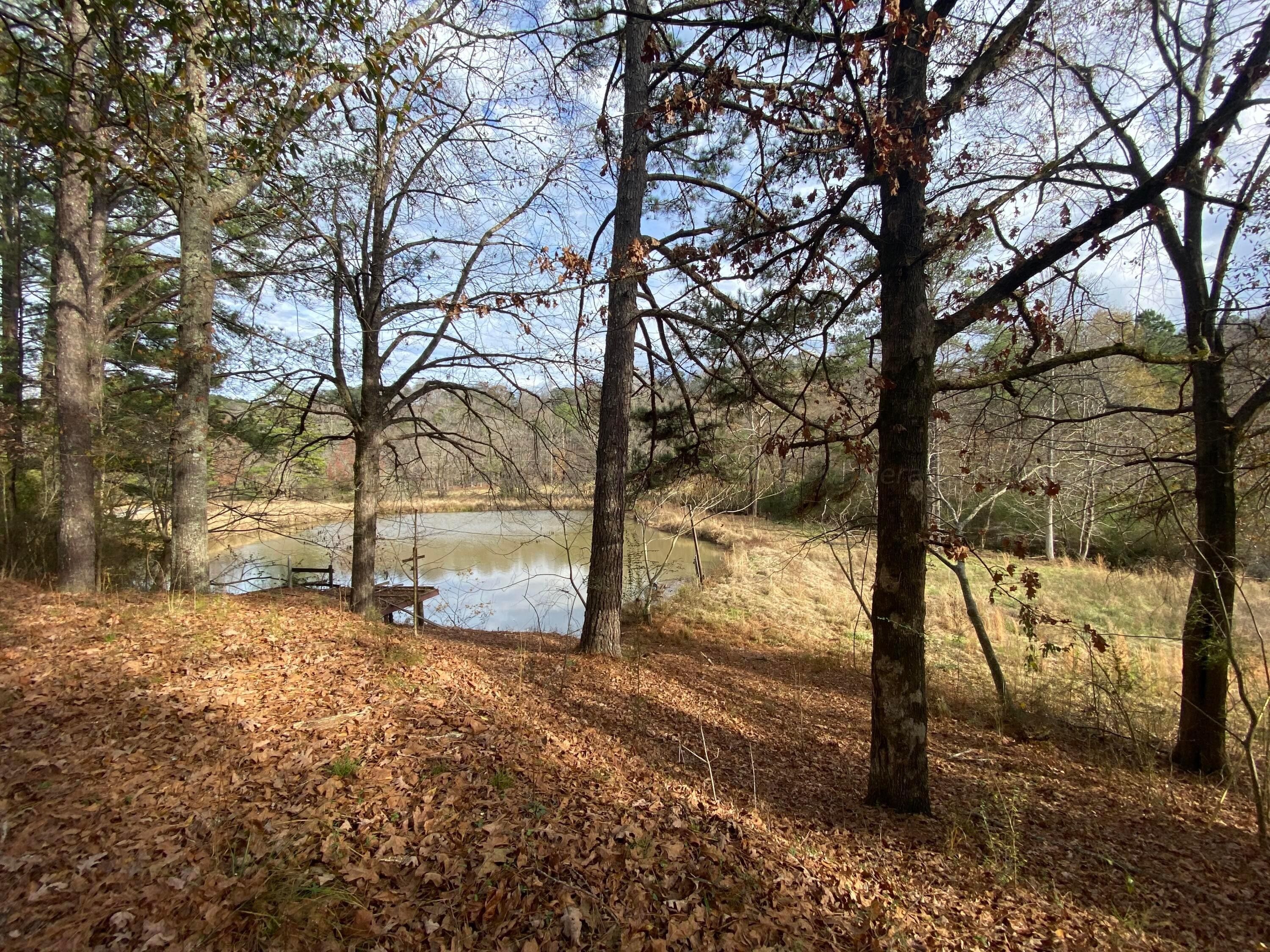 Bremen, Walker County, AL House for sale Property ID 415400646 LandWatch