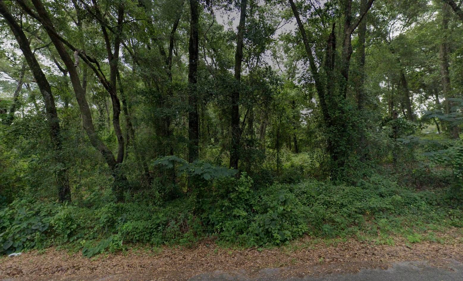 Ocklawaha, Marion County, FL Recreational Property, Undeveloped Land