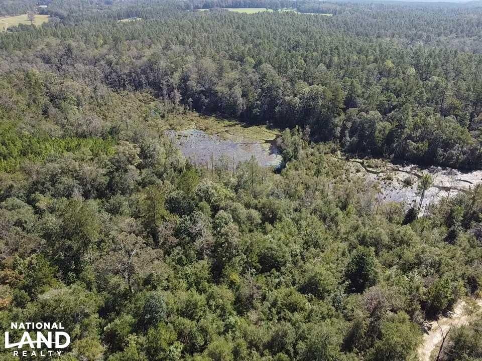 Citronelle, Mobile County, AL Recreational Property, Timberland