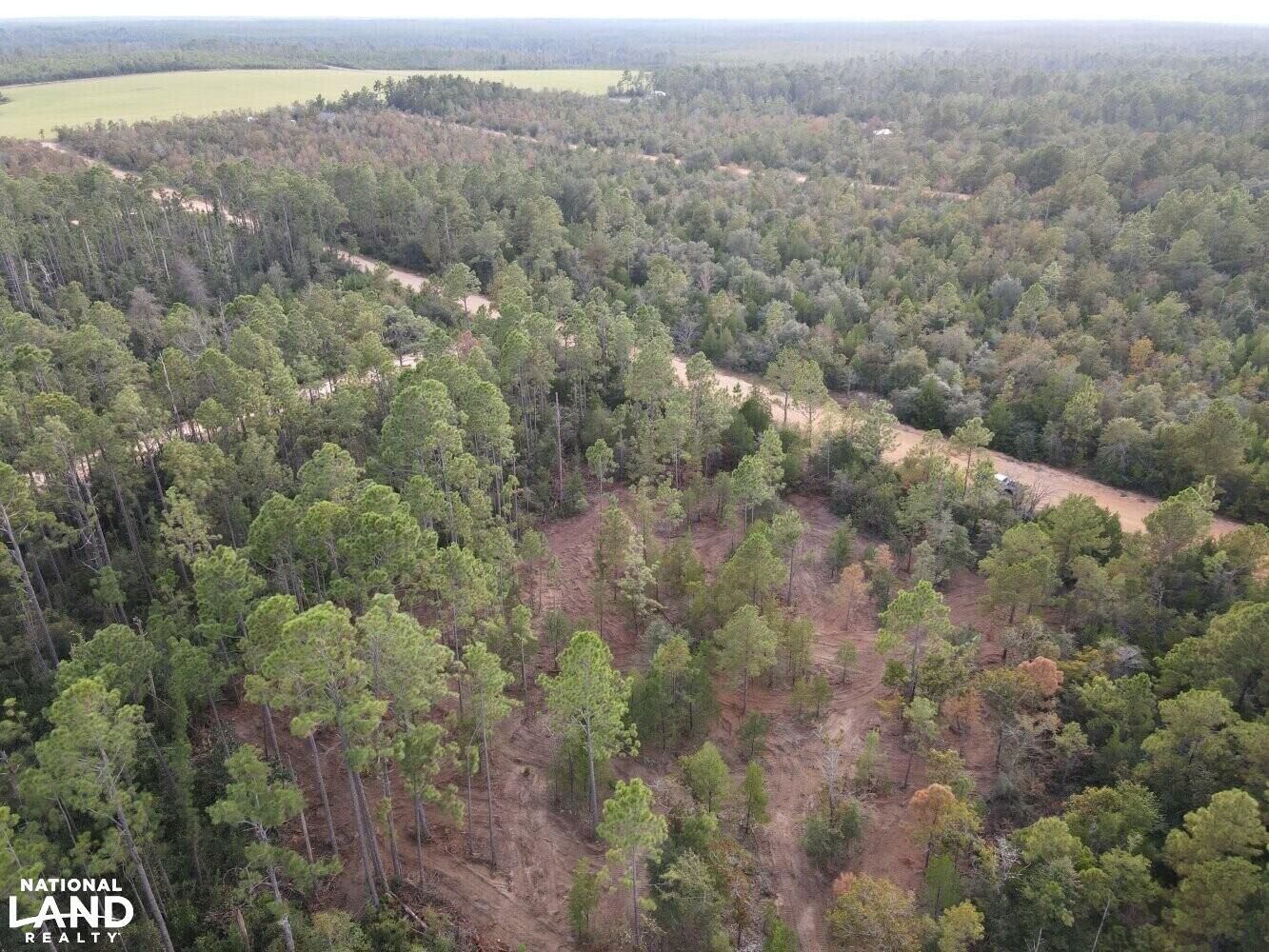 Alford, Jackson County, FL Undeveloped Land, Homesites for sale
