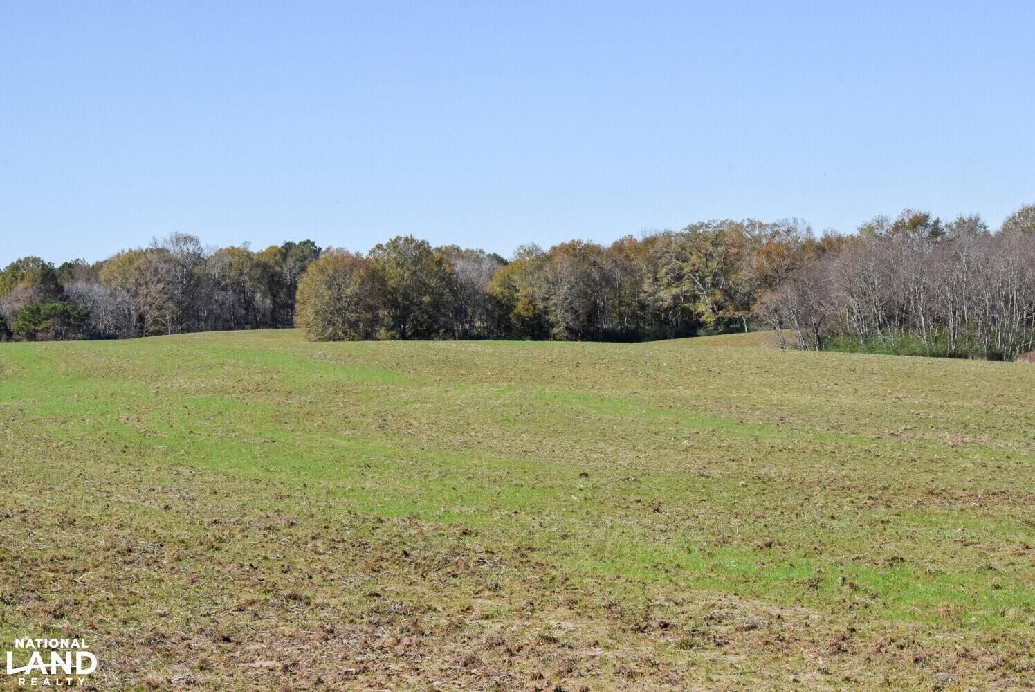 Beaumont, Perry County, MS Farms and Ranches, Timberland Property
