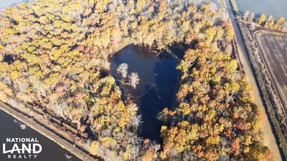 Aubrey, Lee County, AR Recreational Property, Timberland Property, Hunting Property for sale