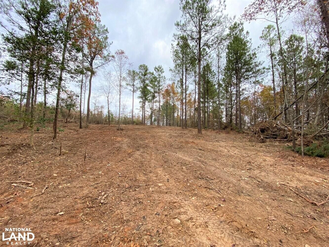 Elrod, Tuscaloosa County, AL Timberland Property, Hunting Property for