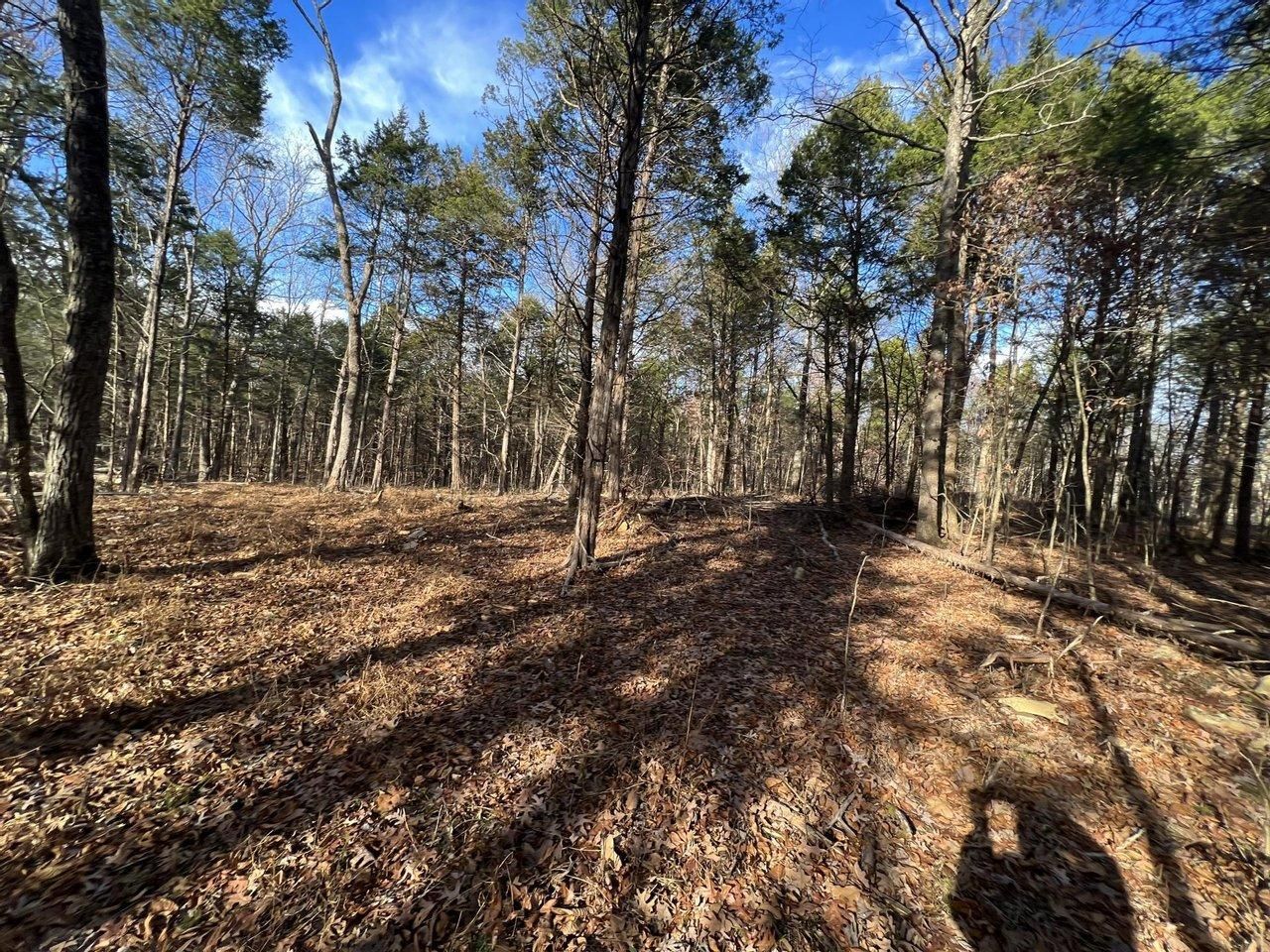 Upton, Hart County, KY Recreational Property, Timberland Property