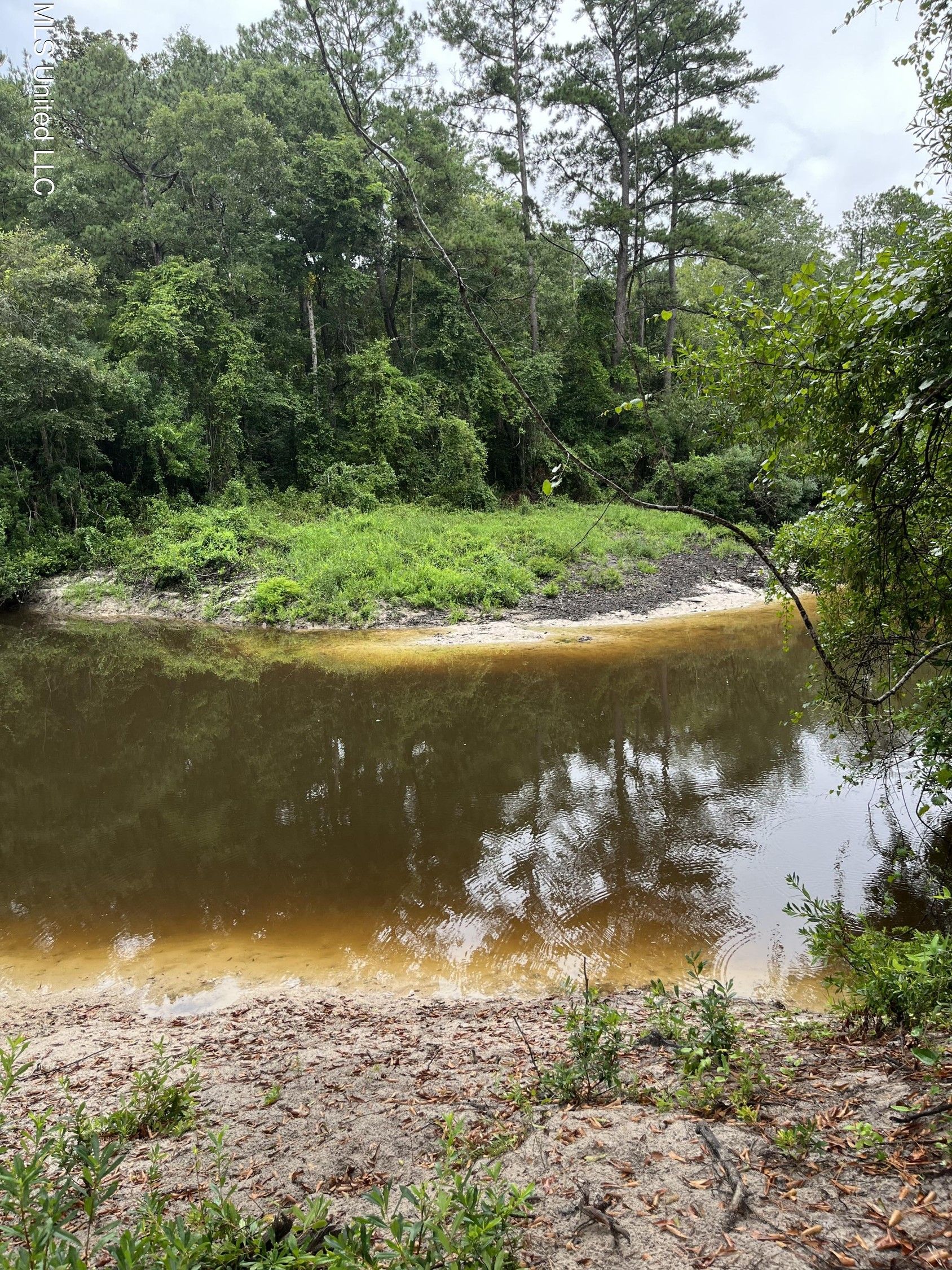 Vancleave, Jackson County, MS Undeveloped Land, Lakefront Property