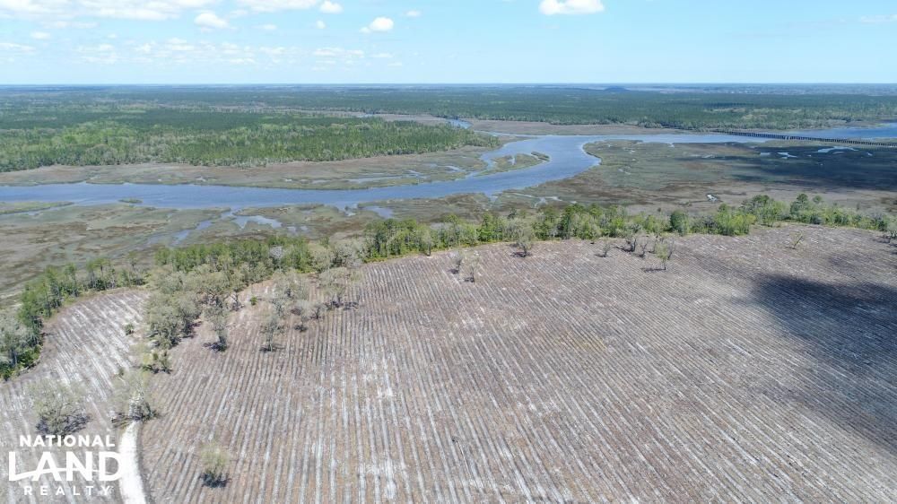 Brunswick, Glynn County, GA Timberland Property, Commercial Property