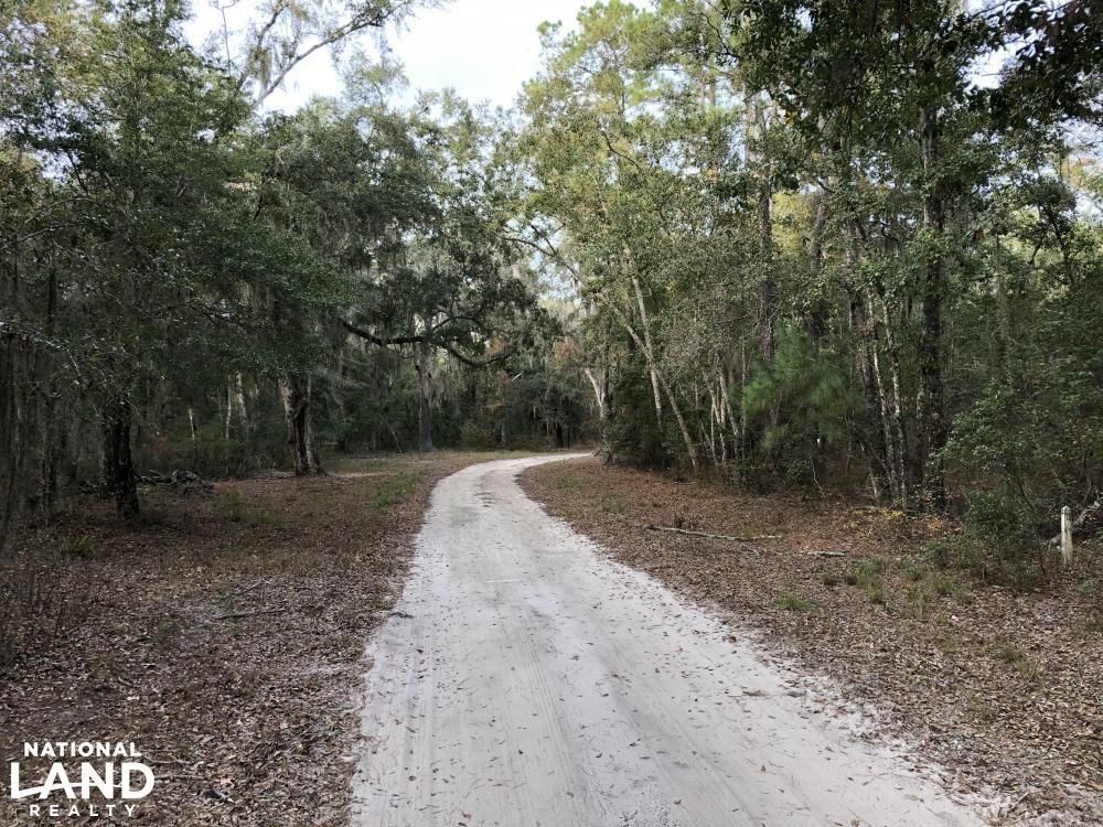 Woodbine, Camden County, GA Recreational Property, Undeveloped Land for sale Property ID