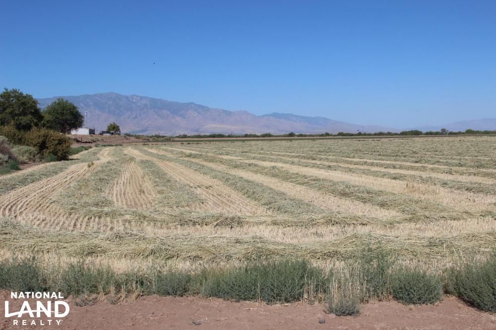Solomon, Graham County, AZ Farms and Ranches for sale Property ID