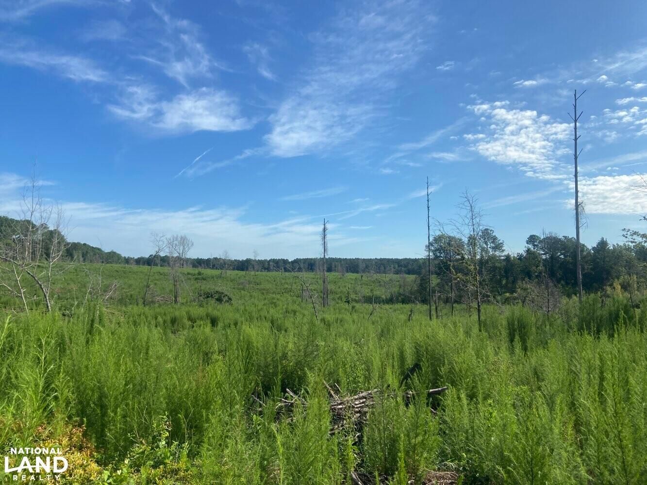 Ellaville, Schley County, GA Recreational Property, Timberland Property