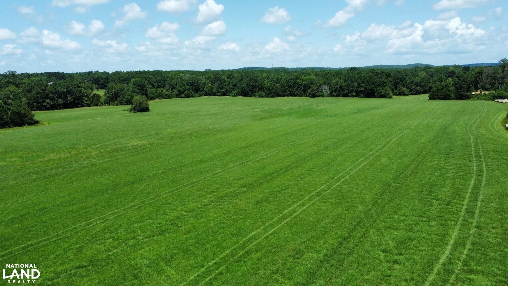 New Brockton, Coffee County, AL Farms and Ranches, Recreational