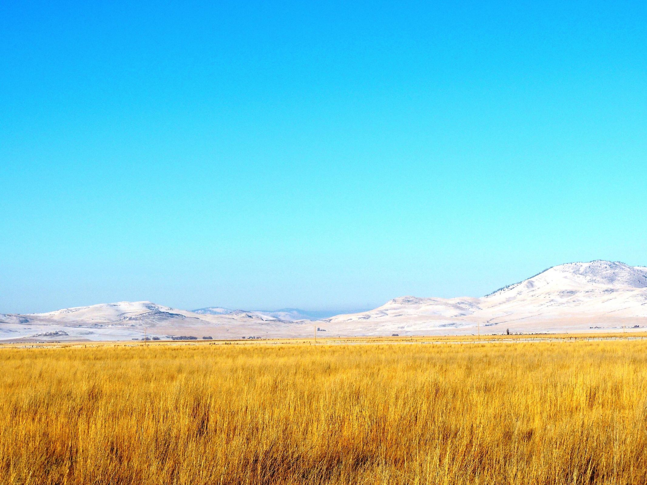Plains, Sanders County, MT Undeveloped Land for sale Property ID