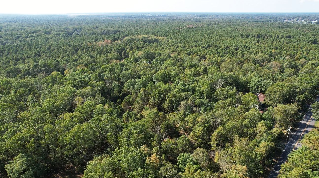 Hammonton, Atlantic County, NJ Recreational Property, Undeveloped Land