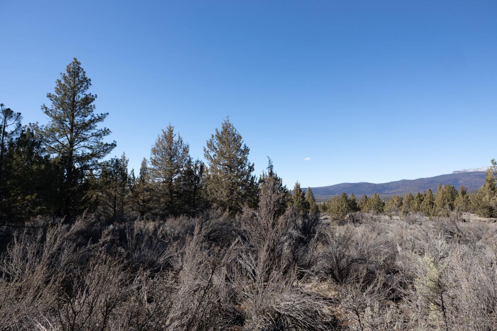 Bly, Klamath County, OR Recreational Property, Hunting Property