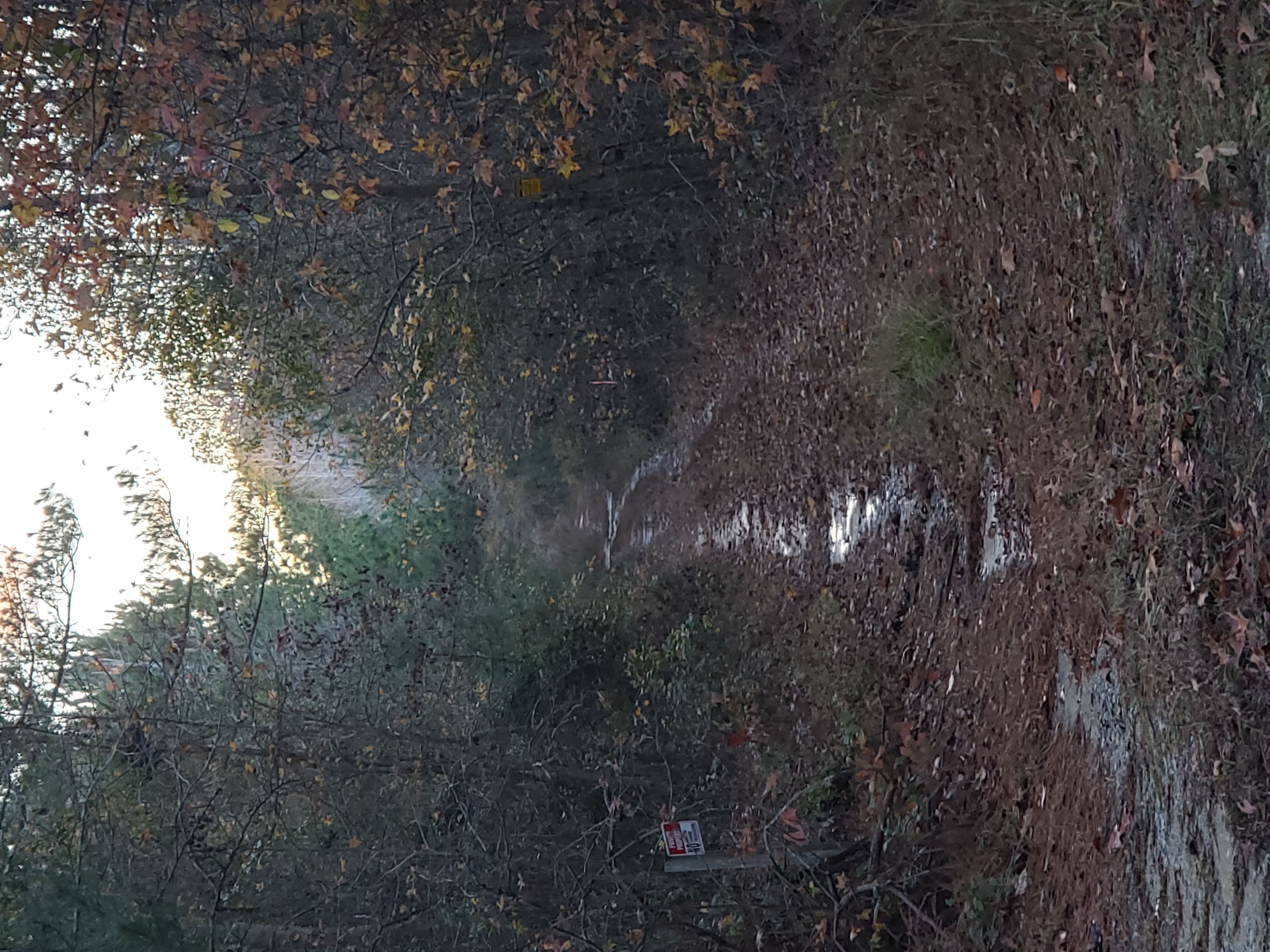 Laurinburg, Scotland County, NC Undeveloped Land for sale Property ID