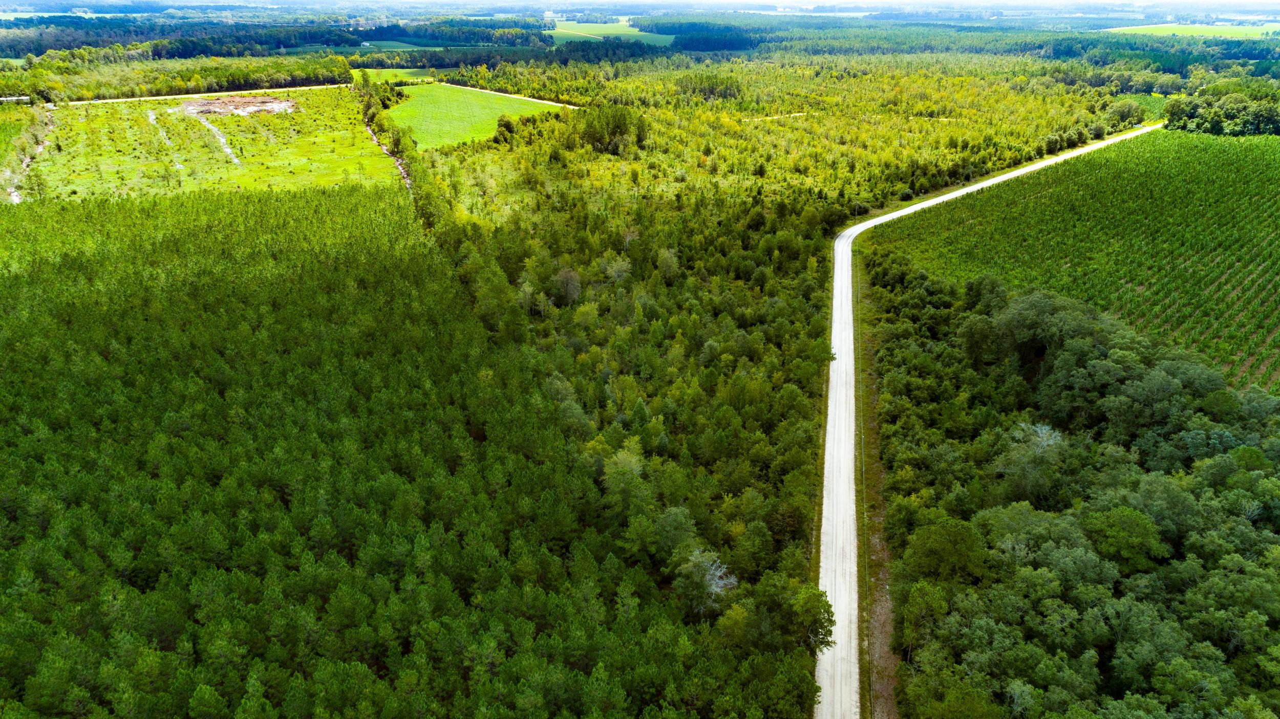 Surrency, Appling County, GA Farms and Ranches for sale Property ID