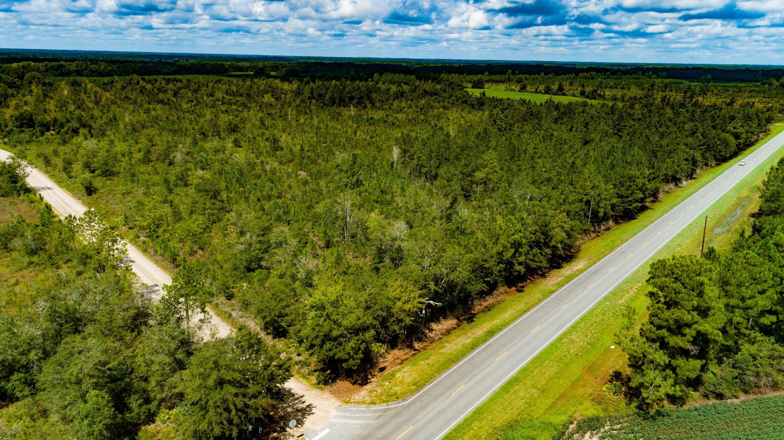 Surrency, Appling County, GA Farms and Ranches for sale Property ID