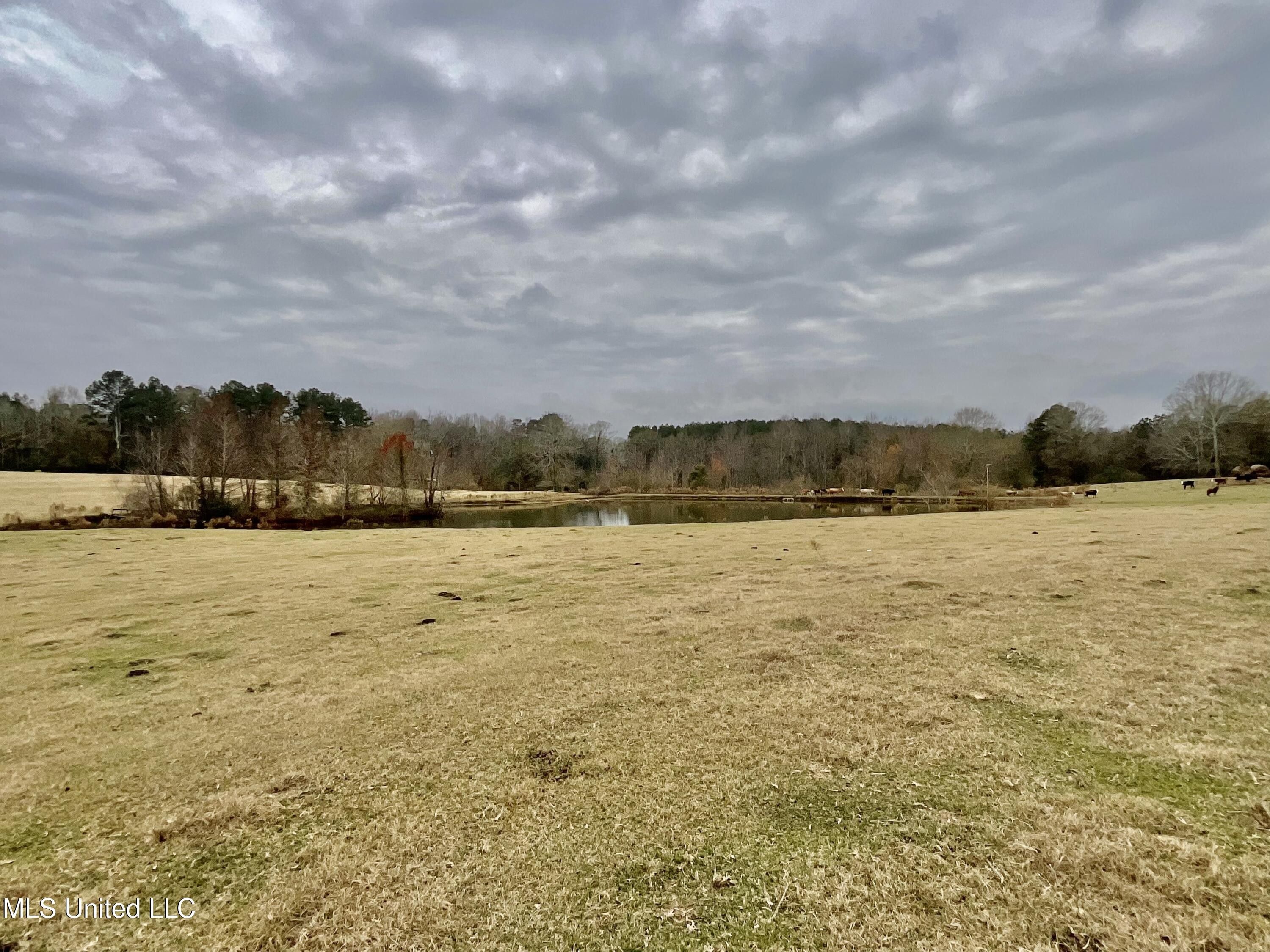 Magee, Smith County, MS Farms and Ranches, Lakefront Property