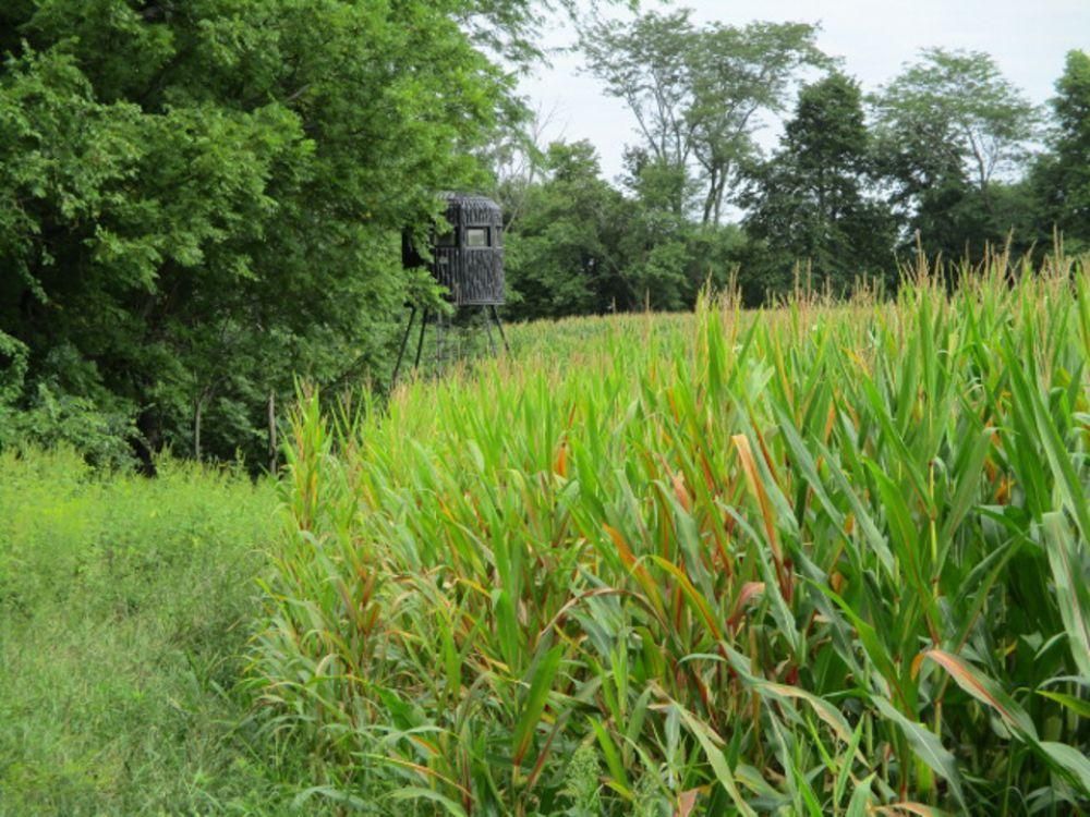 Oakville, Des Moines County, IA Farms and Ranches for auction Property