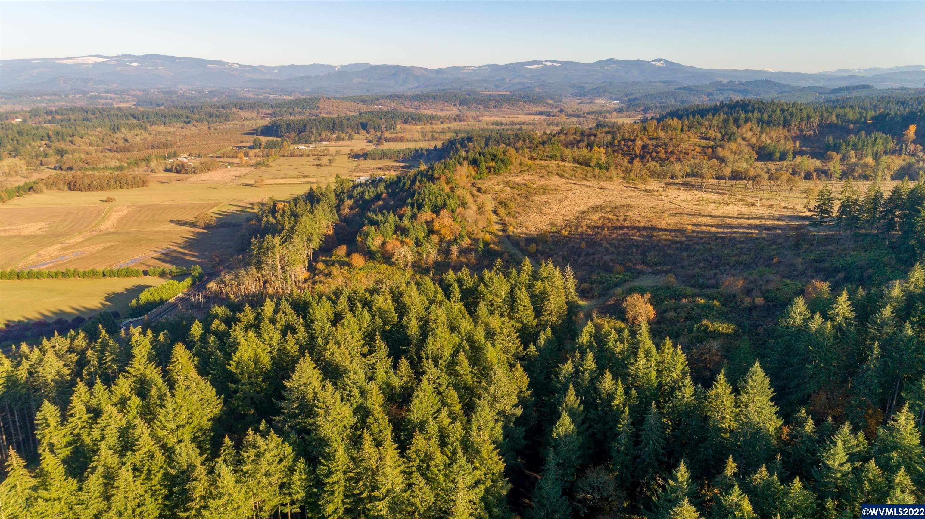 Lebanon, Linn County, OR Timberland Property, Undeveloped Land for sale Property ID 415410521