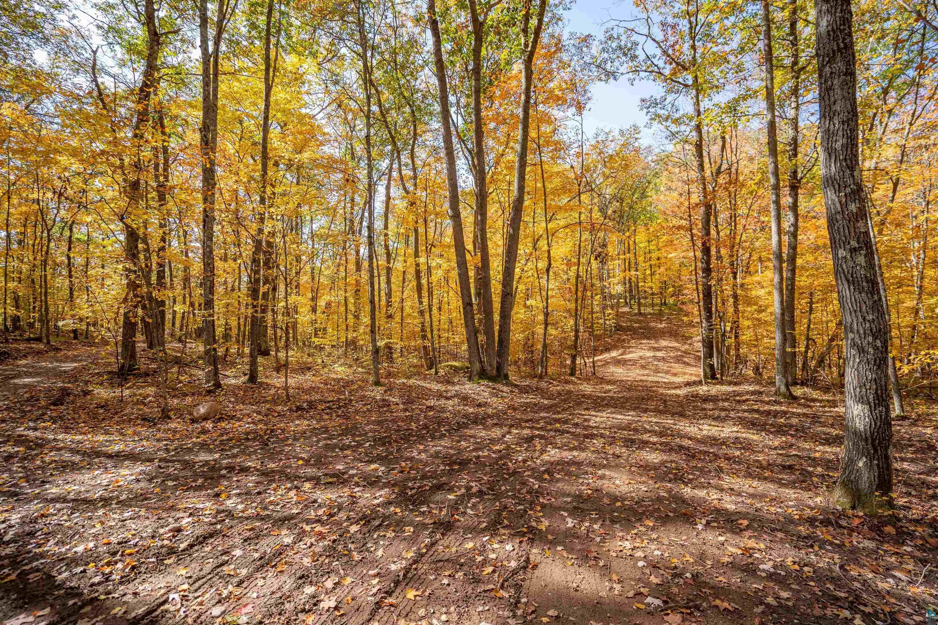 Iron River, Bayfield County, WI Undeveloped Land for sale Property ID