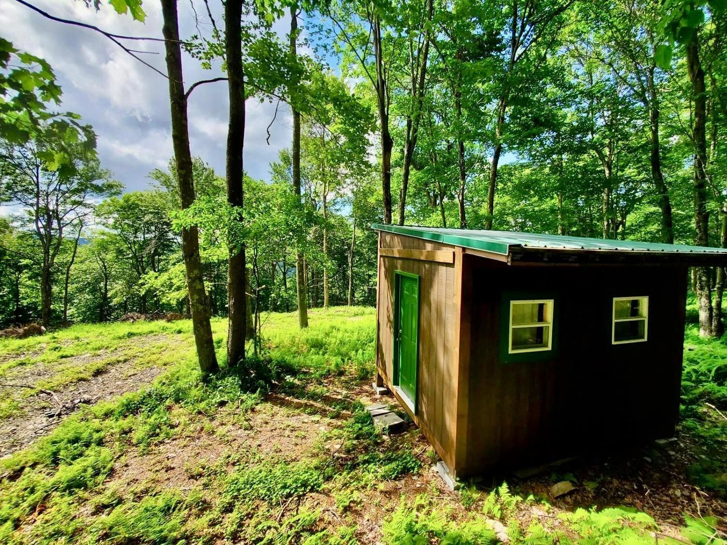 Andes, Delaware County, NY Undeveloped Land for sale Property ID