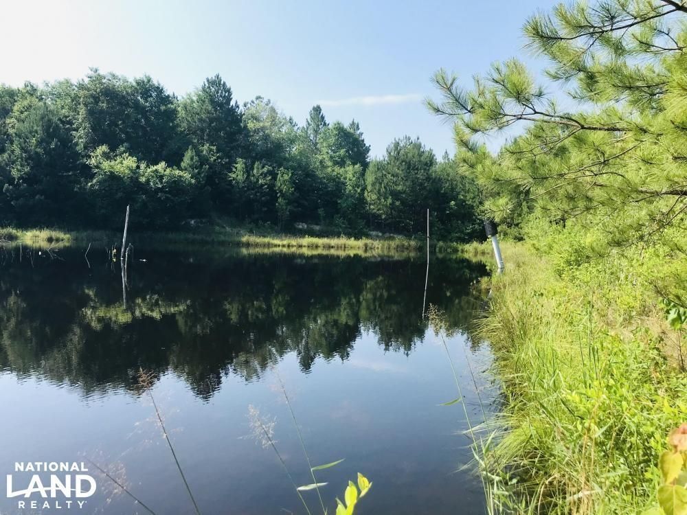 Mauk, Marion County, GA Recreational Property, Undeveloped Land