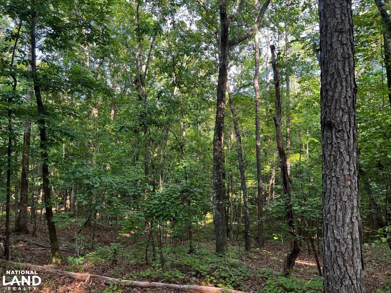 Sprott, Perry County, AL Recreational Property, Timberland Property