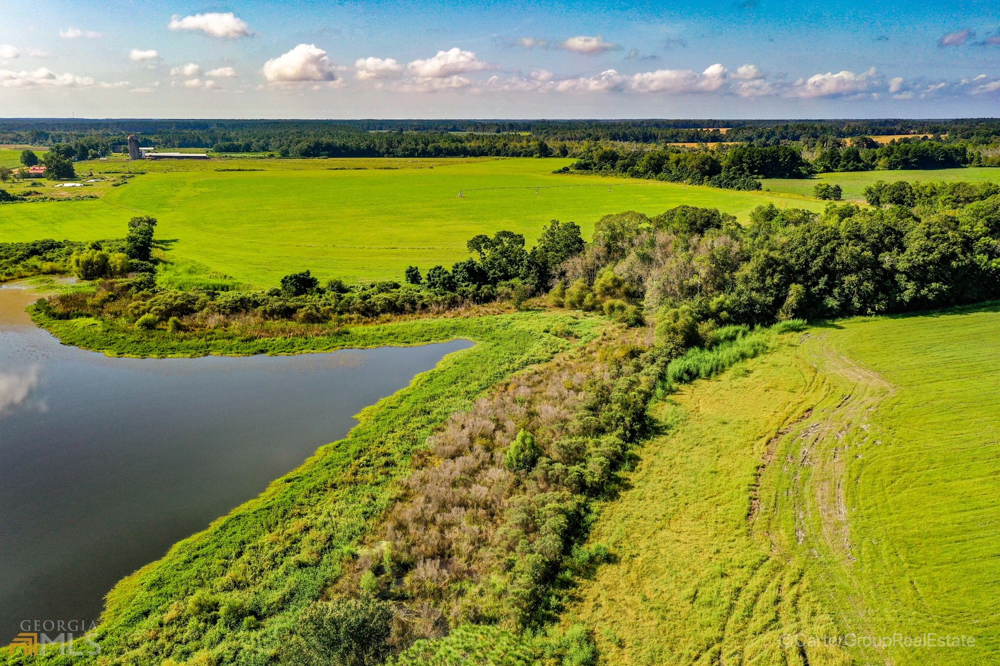 Bristol, Pierce County, GA Undeveloped Land for sale Property ID