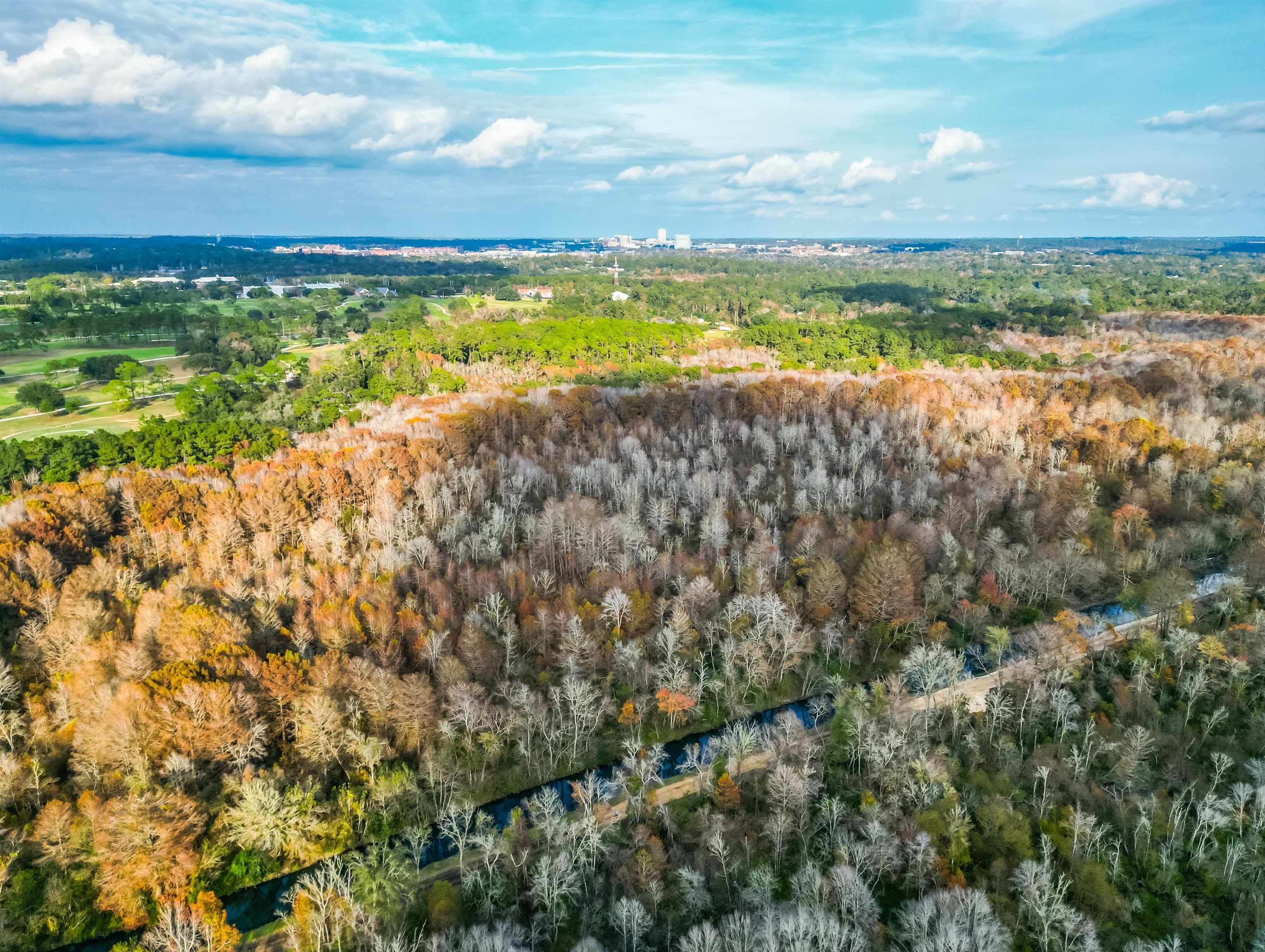 Tallahassee, Leon County, FL Undeveloped Land for sale Property ID