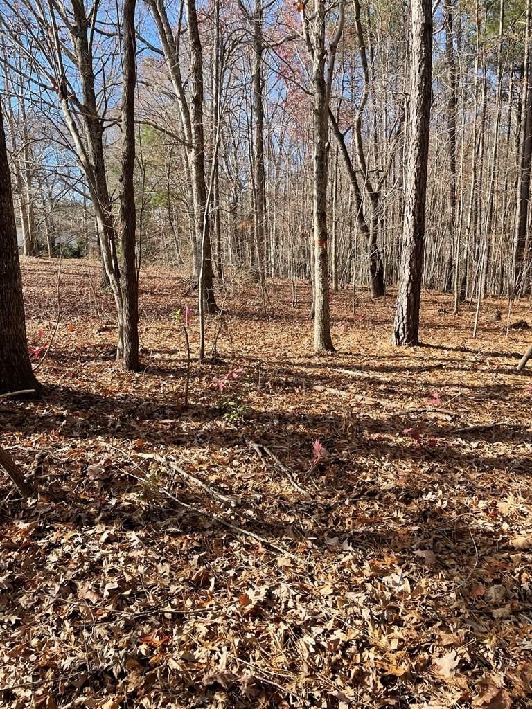 Clarksville, Mecklenburg County, VA Undeveloped Land for sale Property