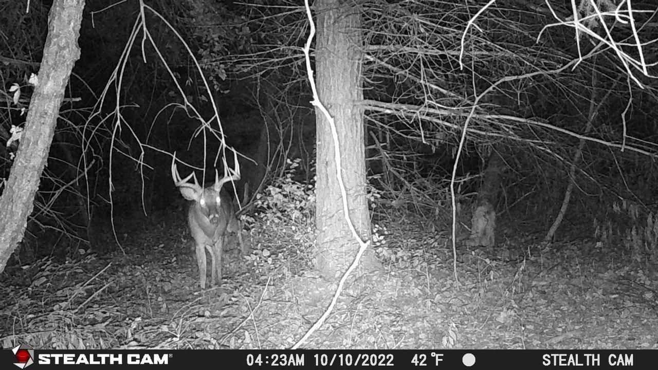 Mentone, Kosciusko County, IN Recreational Property, Undeveloped Land