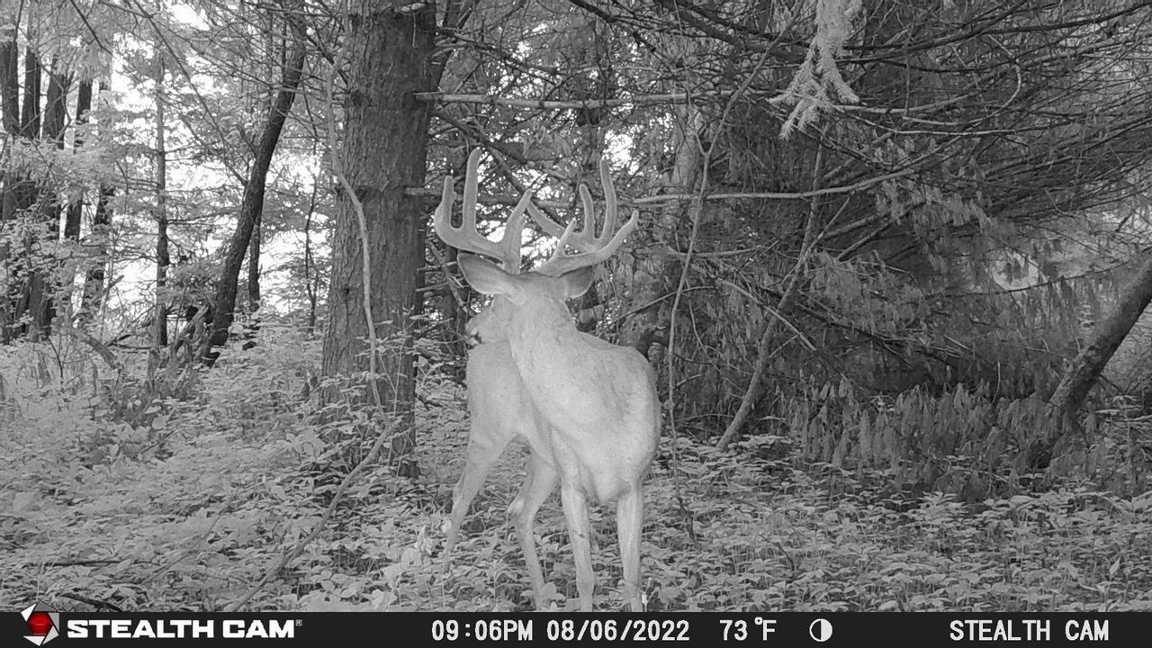 Mentone, Kosciusko County, IN Recreational Property, Hunting Property