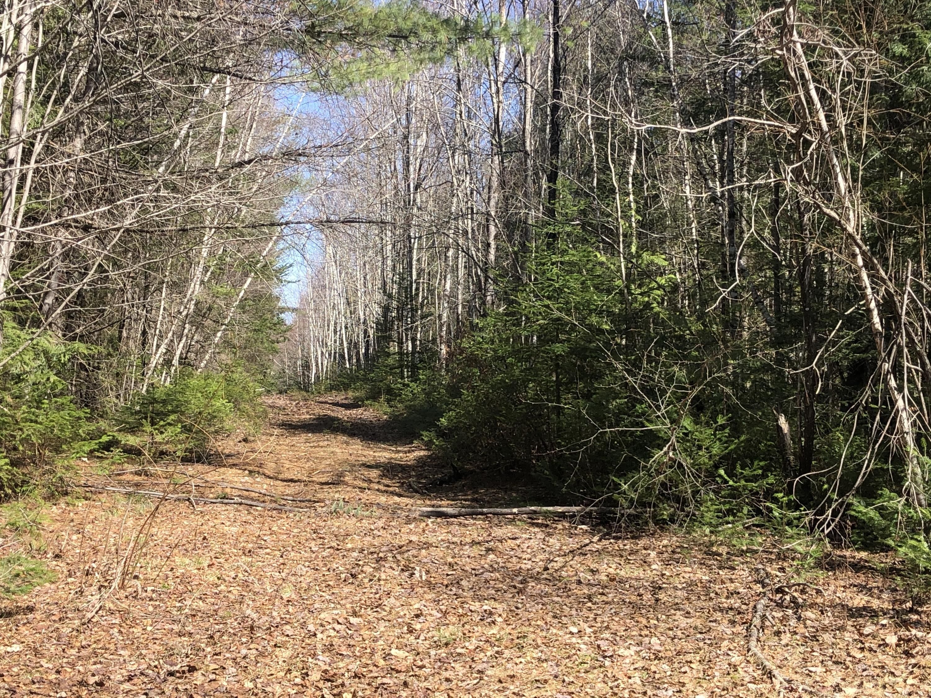 Lagrange, Penobscot County, ME Undeveloped Land for sale Property ID