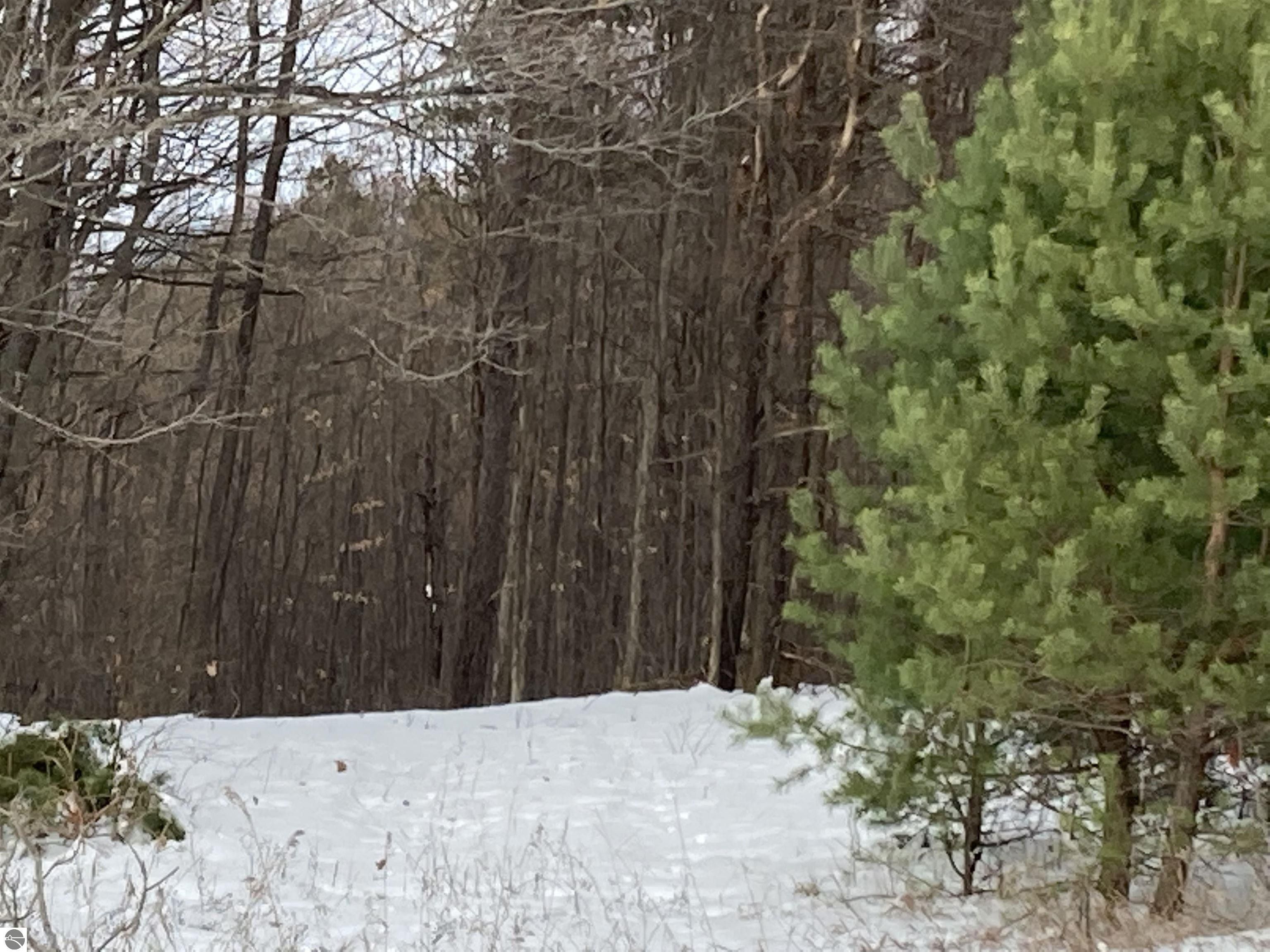 Bear Lake, Manistee County, MI Undeveloped Land for sale Property ID