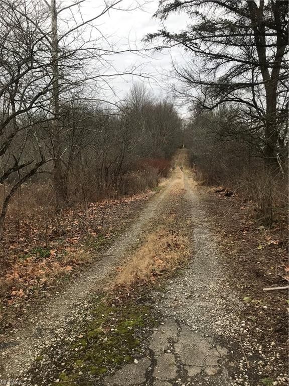 Canfield, Mahoning County, OH Undeveloped Land for sale Property ID