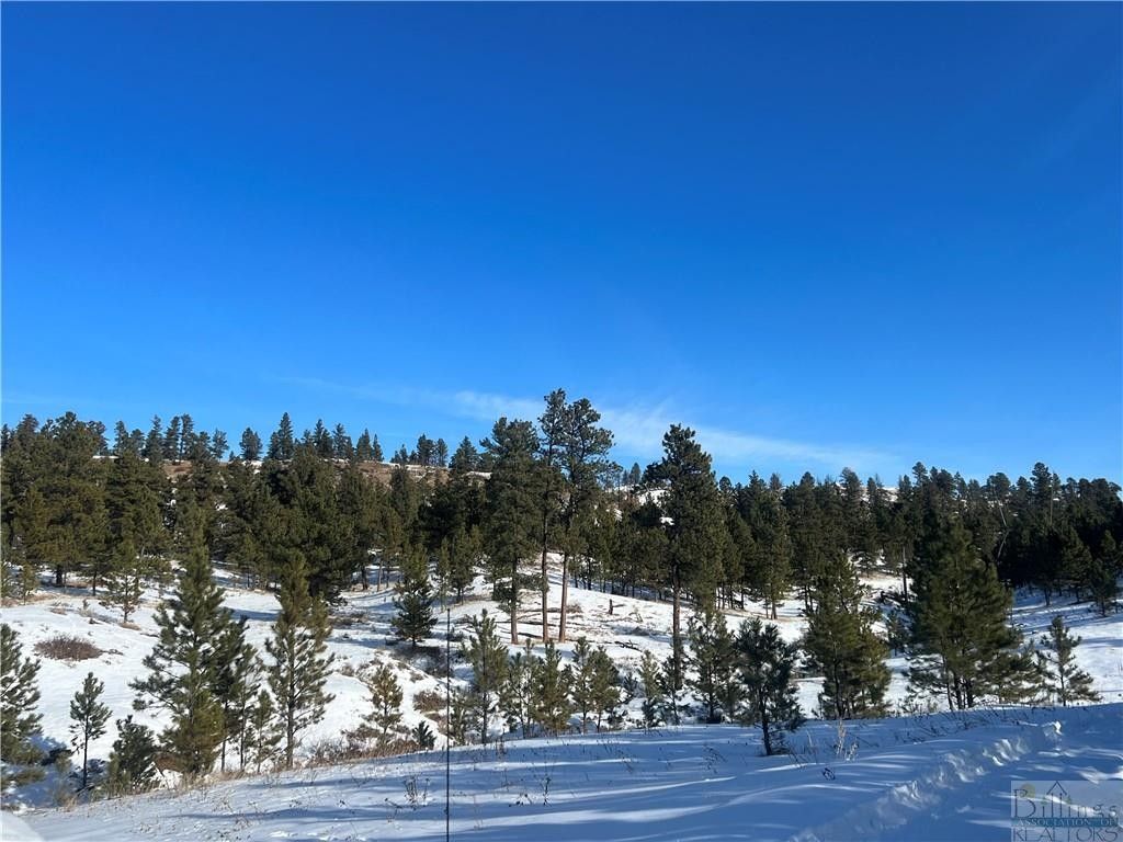 Forsyth, Rosebud County, MT Undeveloped Land for sale Property ID