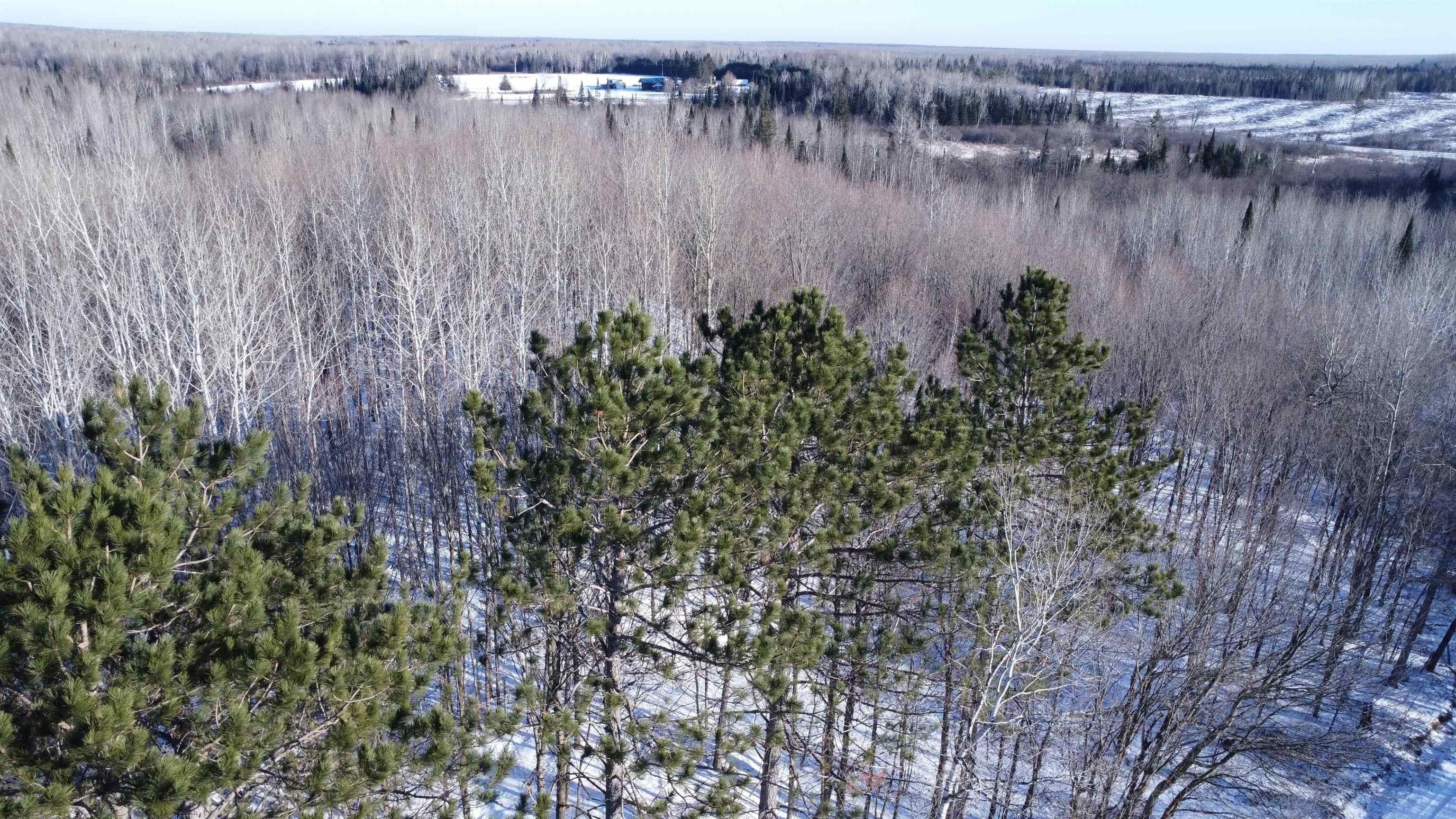 Tripoli, Price County, WI Undeveloped Land for sale Property ID