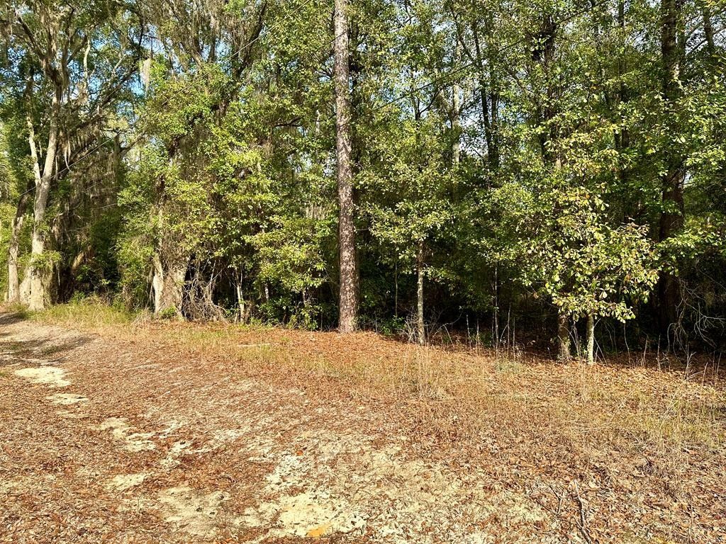 Albany, Dougherty County, GA Homesites for sale Property ID 415430052
