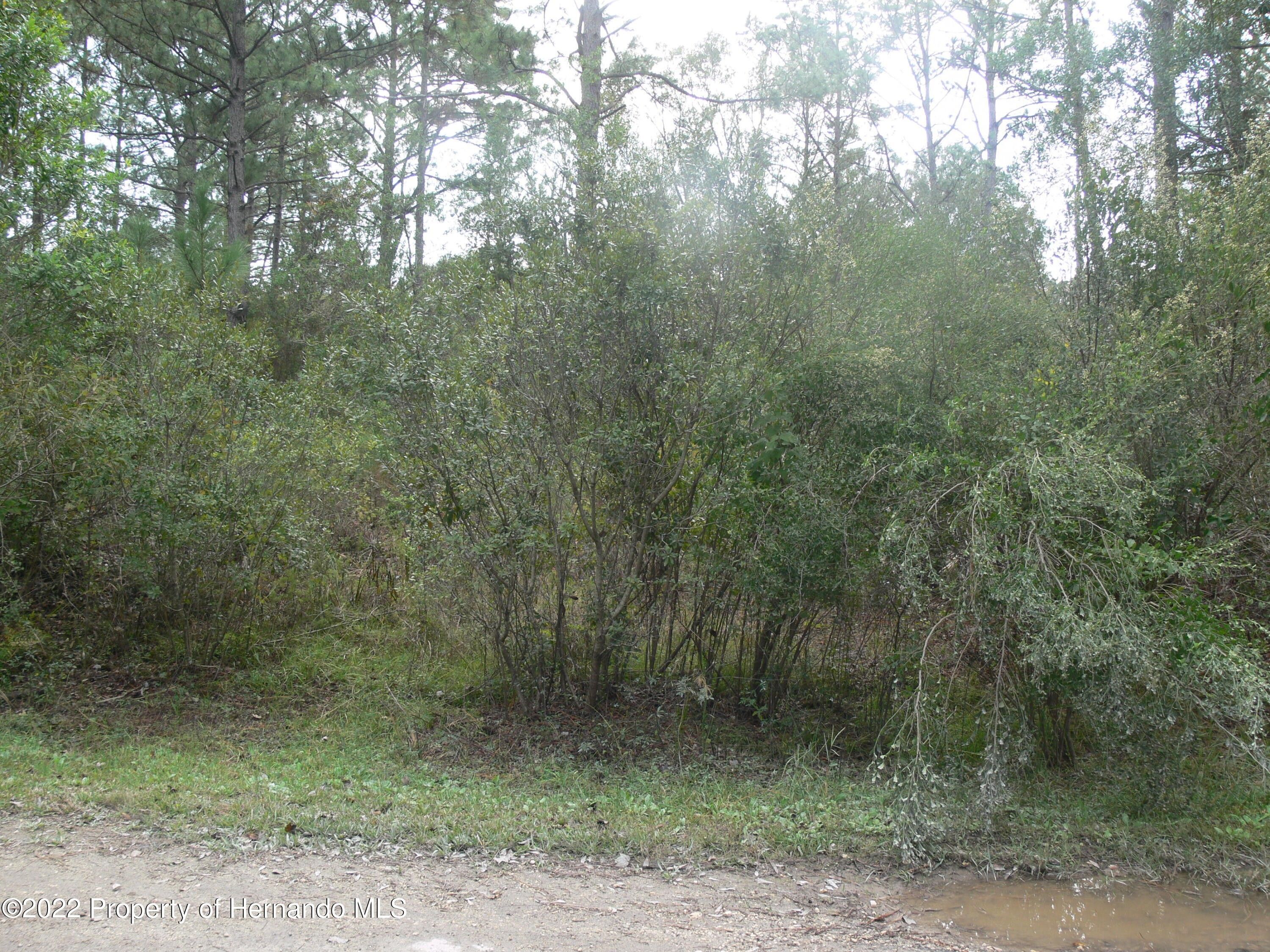 Crystal River, Citrus County, FL Undeveloped Land, Homesites for sale