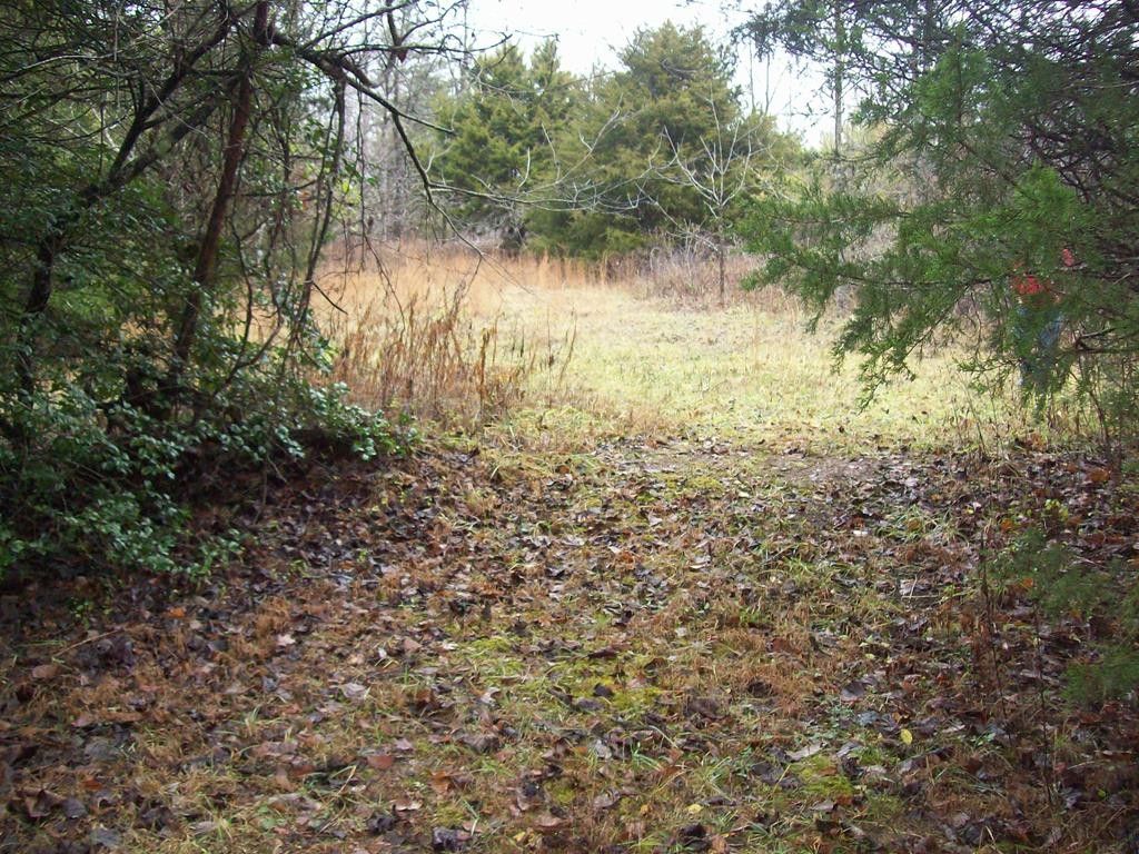 Sneedville, Hancock County, TN Undeveloped Land for sale Property ID