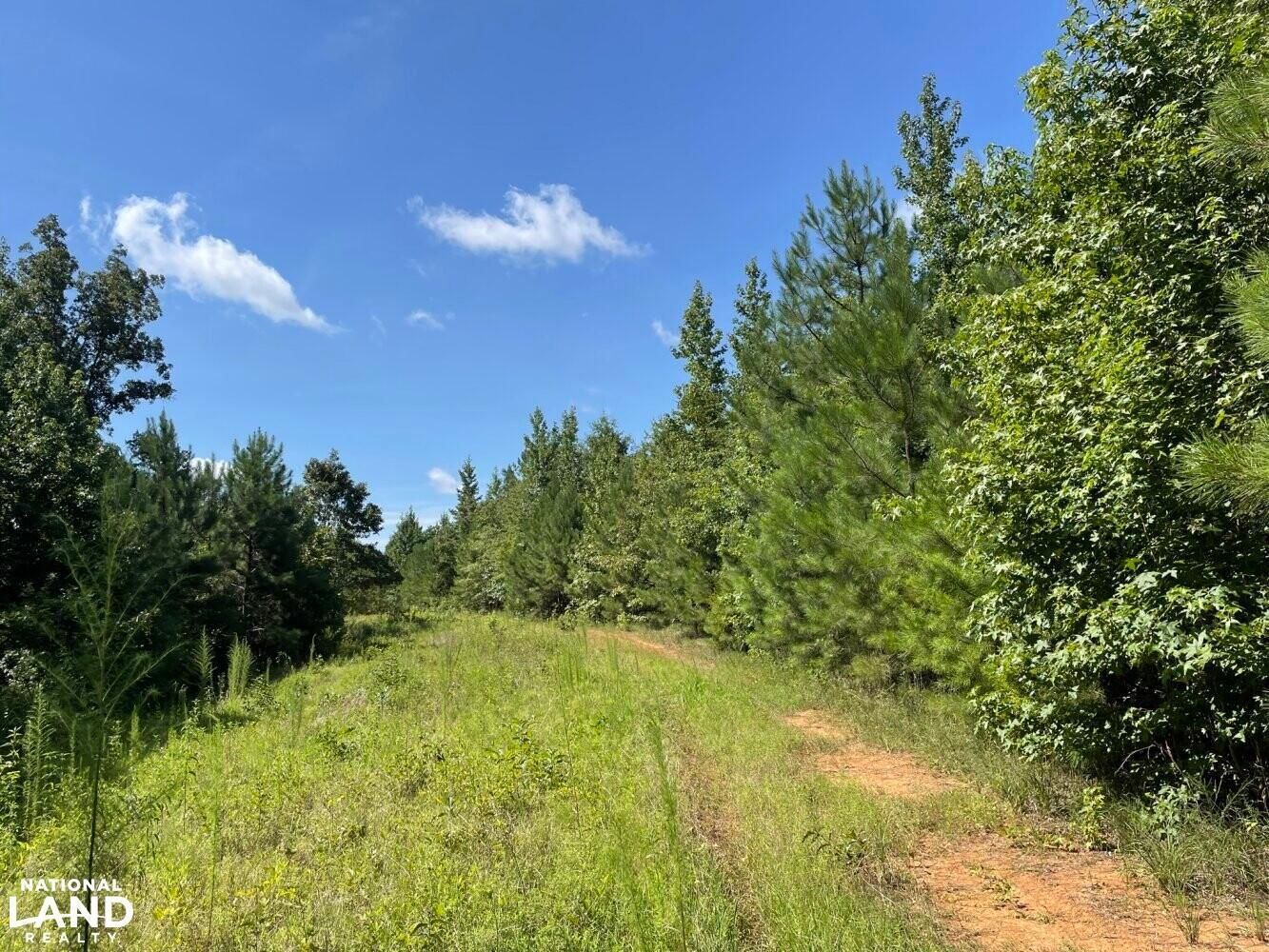 Tuscaloosa, Tuscaloosa County, AL Recreational Property, Hunting