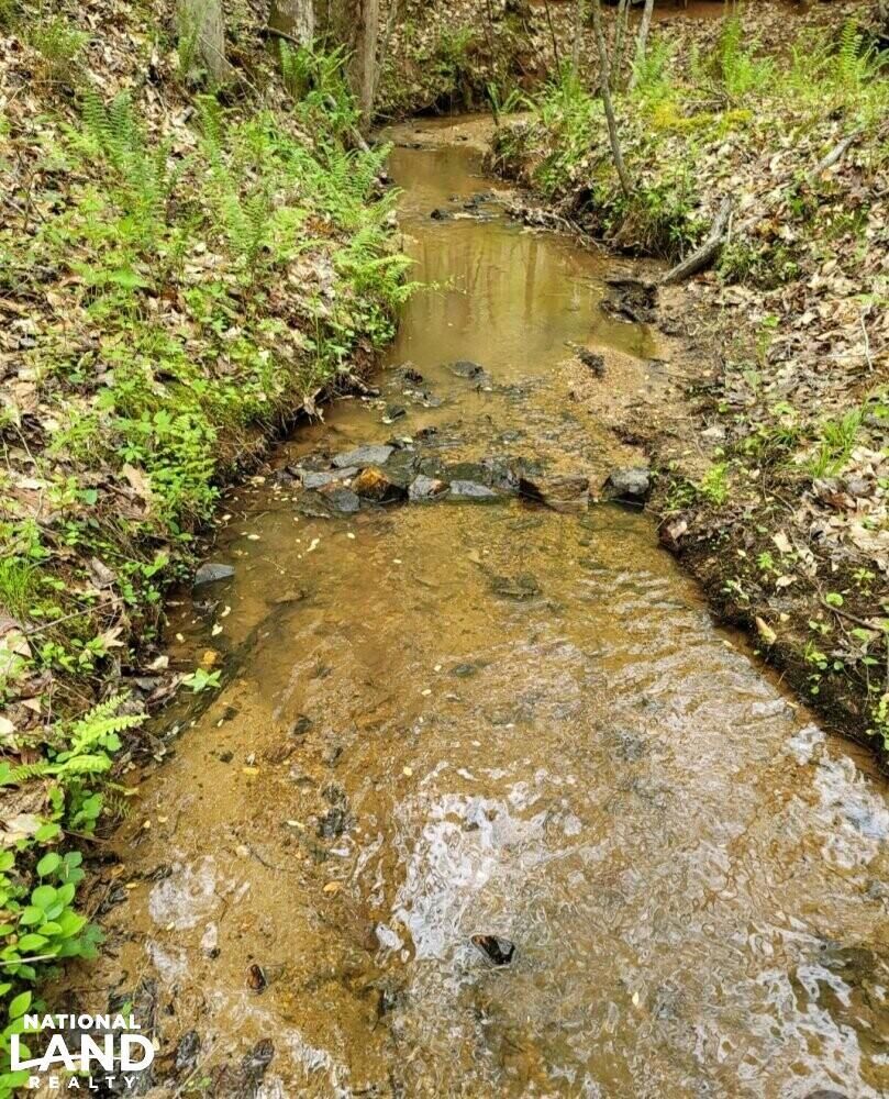 Whitesburg, Carroll County, GA Recreational Property, Undeveloped Land