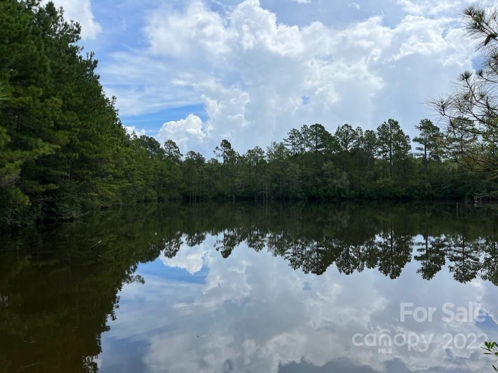 Hartsville, Chesterfield County, SC Undeveloped Land for sale Property