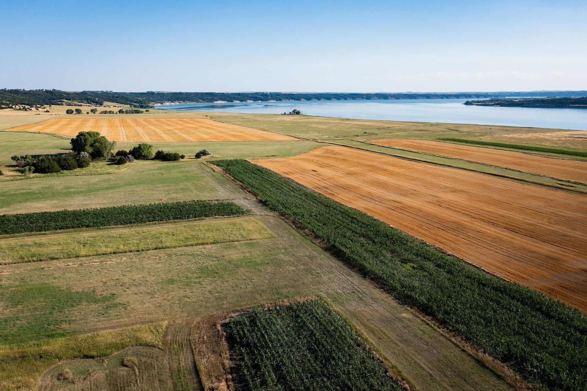 Chamberlain, Brule County, SD Farms and Ranches, Hunting Property