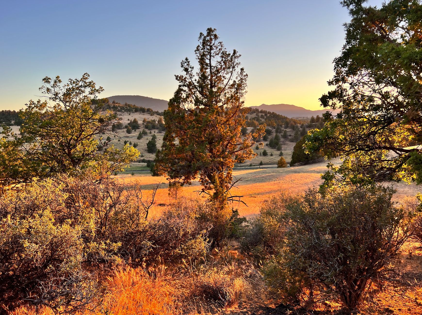 Montague, Siskiyou County, CA Recreational Property, Homesites for sale