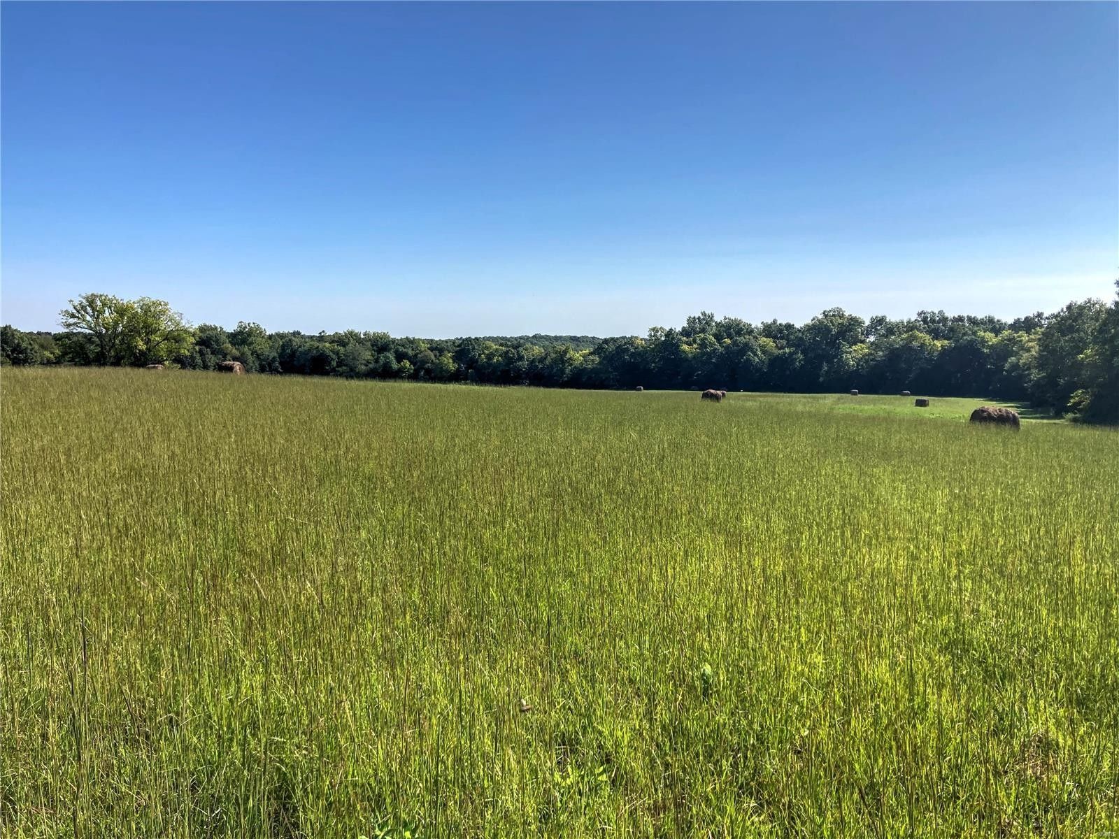 Bellflower, Montgomery County, MO Farms and Ranches for sale Property