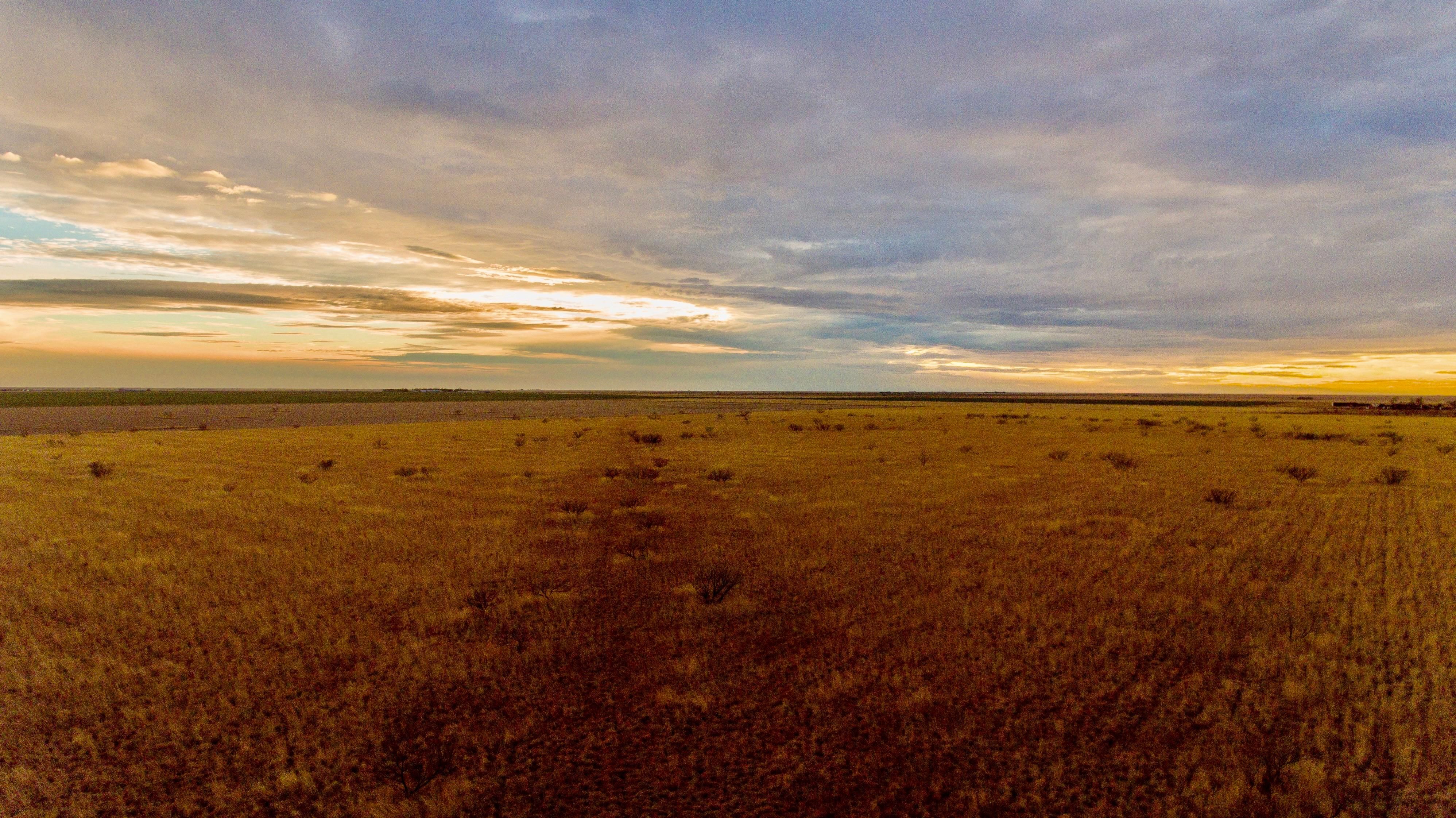 Wayside, Armstrong County, TX Farms and Ranches, Recreational Property