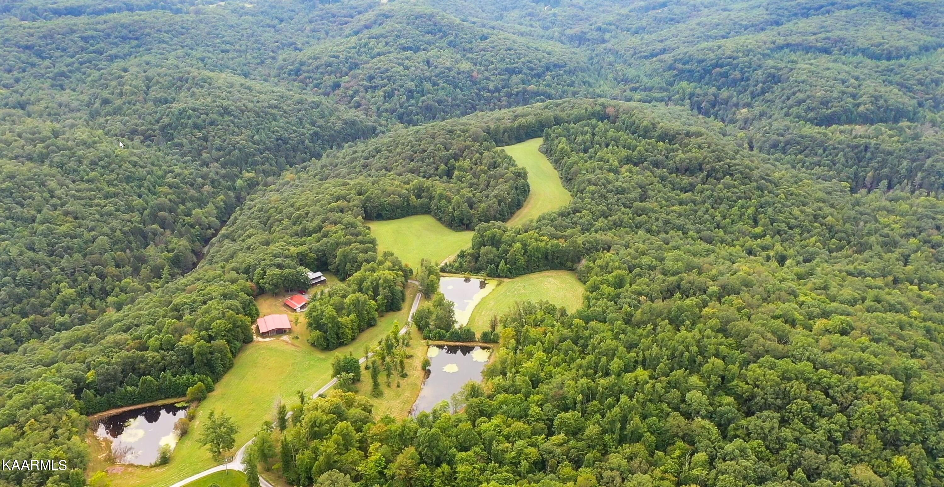 Lancing, County, TN Undeveloped Land for sale Property ID