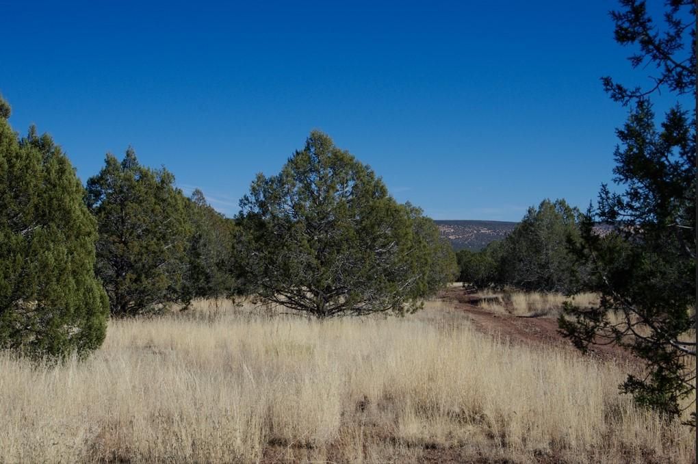 Williams, Coconino County, AZ Recreational Property, Hunting Property